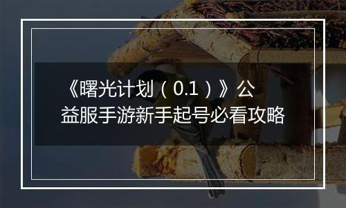 《曙光计划（0.1）》公益服手游新手起号必看攻略