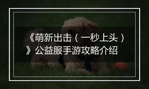 《萌新出击（一秒上头）》公益服手游攻略介绍