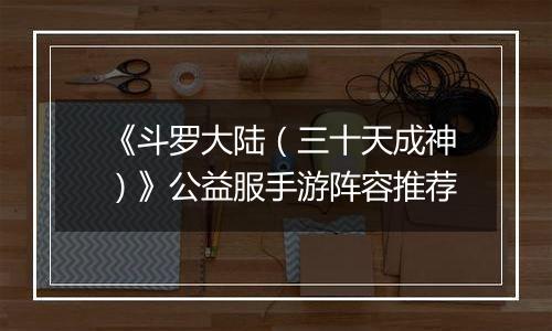 《斗罗大陆（三十天成神）》公益服手游阵容推荐