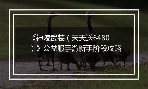 《神陵武装（天天送6480）》公益服手游新手阶段攻略