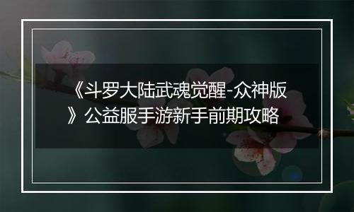 《斗罗大陆武魂觉醒-众神版》公益服手游新手前期攻略