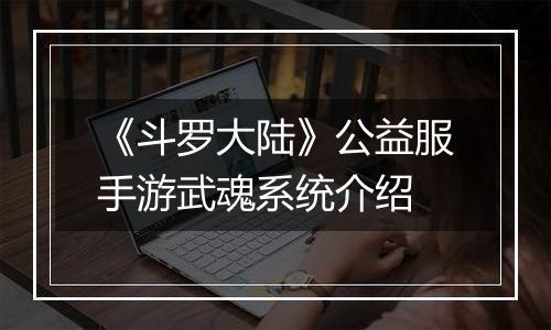 《斗罗大陆》公益服手游武魂系统介绍