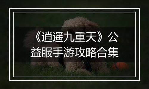 《逍遥九重天》公益服手游攻略合集