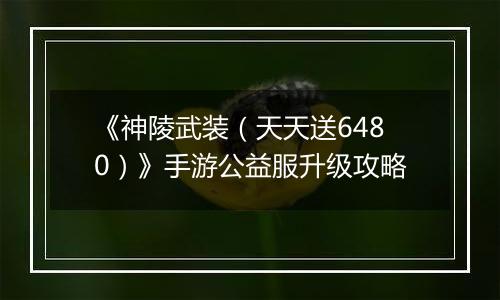 《神陵武装（天天送6480）》手游公益服升级攻略