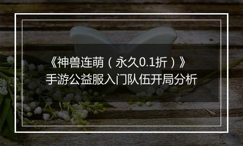 《神兽连萌（永久0.1折）》手游公益服入门队伍开局分析