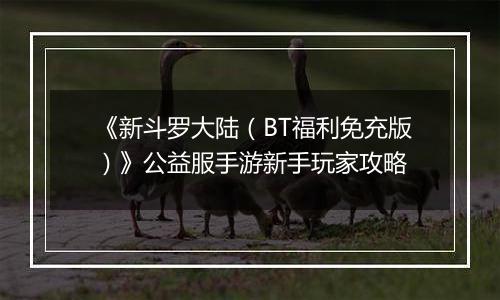 《新斗罗大陆（BT福利免充版）》公益服手游新手玩家攻略