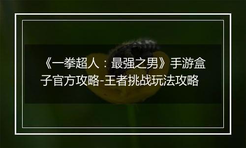 《一拳超人：最强之男》手游盒子官方攻略-王者挑战玩法攻略