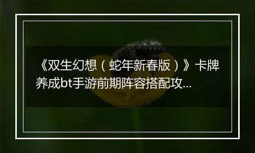 《双生幻想（蛇年新春版）》卡牌养成bt手游前期阵容搭配攻略