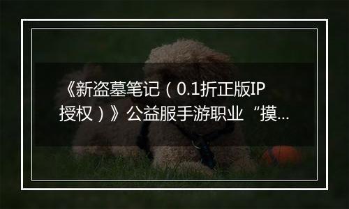 《新盗墓笔记（0.1折正版IP授权）》公益服手游职业“摸金”技能定位解析
