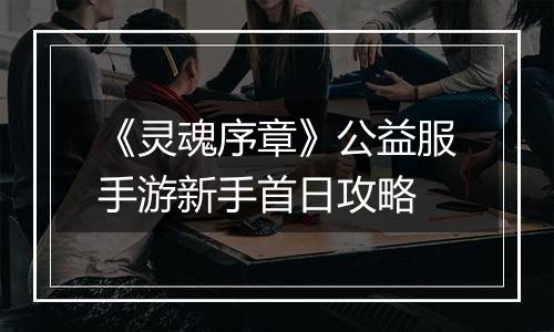 《灵魂序章》公益服手游新手首日攻略