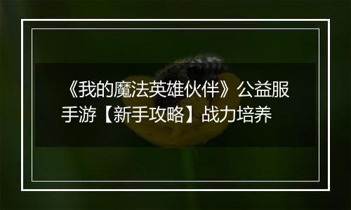 《我的魔法英雄伙伴》公益服手游【新手攻略】战力培养