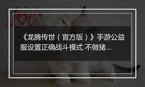 《龙腾传世（官方版）》手游公益服设置正确战斗模式 不做猪队友