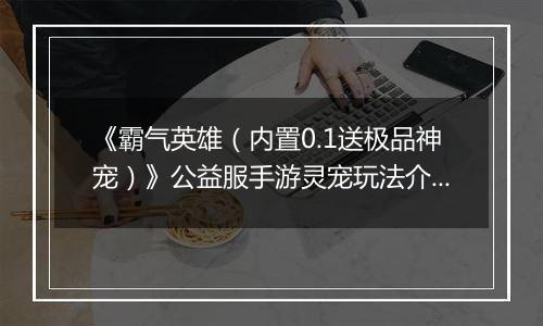 《霸气英雄（内置0.1送极品神宠）》公益服手游灵宠玩法介绍