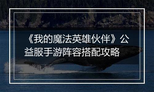 《我的魔法英雄伙伴》公益服手游阵容搭配攻略