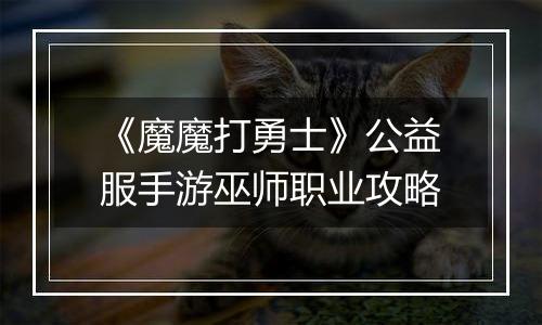 《魔魔打勇士》公益服手游巫师职业攻略