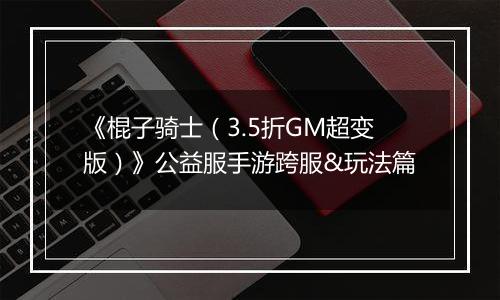《棍子骑士（3.5折GM超变版）》公益服手游跨服&玩法篇