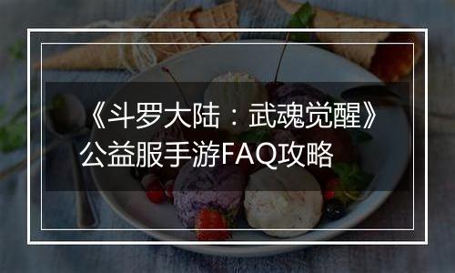 《斗罗大陆：武魂觉醒》公益服手游FAQ攻略