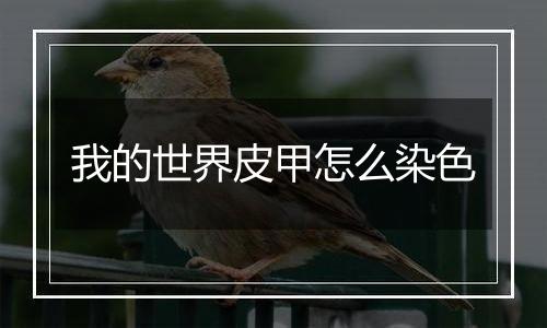 我的世界皮甲怎么染色