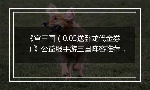 《宫三国（0.05送卧龙代金券）》公益服手游三国阵容推荐攻略