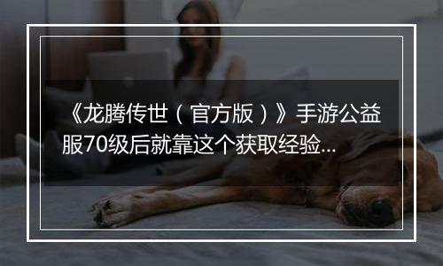 《龙腾传世（官方版）》手游公益服70级后就靠这个获取经验快速升级