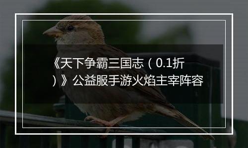 《天下争霸三国志（0.1折）》公益服手游火焰主宰阵容