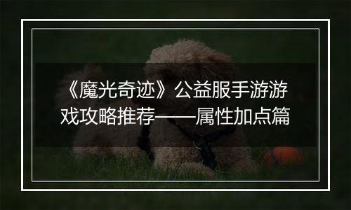 《魔光奇迹》公益服手游游戏攻略推荐——属性加点篇