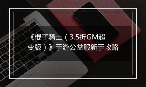 《棍子骑士（3.5折GM超变版）》手游公益服新手攻略
