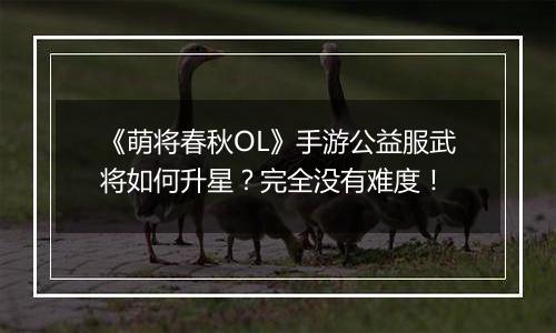 《萌将春秋OL》手游公益服武将如何升星？完全没有难度！