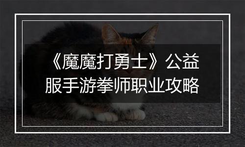 《魔魔打勇士》公益服手游拳师职业攻略