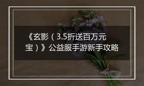 《玄影（3.5折送百万元宝）》公益服手游新手攻略
