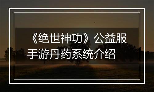 《绝世神功》公益服手游丹药系统介绍