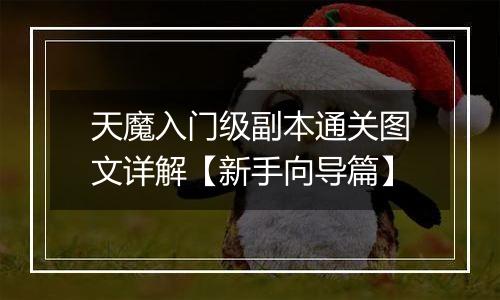 天魔入门级副本通关图文详解【新手向导篇】