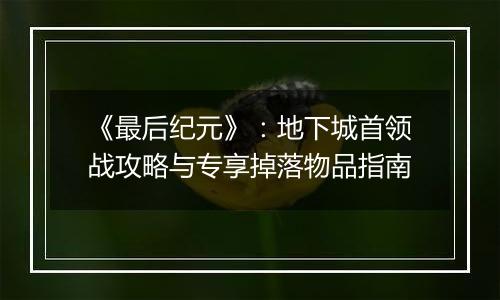 《最后纪元》：地下城首领战攻略与专享掉落物品指南