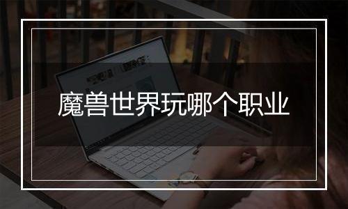 魔兽世界玩哪个职业