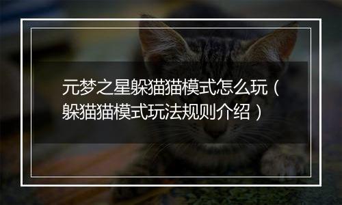 元梦之星躲猫猫模式怎么玩（躲猫猫模式玩法规则介绍）
