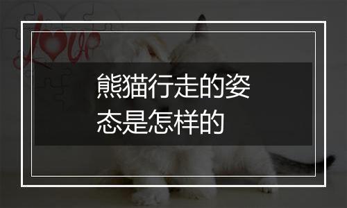 熊猫行走的姿态是怎样的