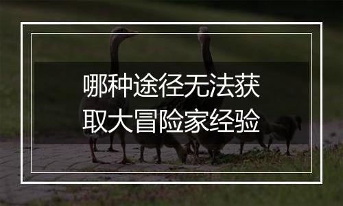 哪种途径无法获取大冒险家经验