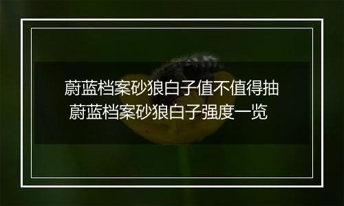 蔚蓝档案砂狼白子值不值得抽 蔚蓝档案砂狼白子强度一览
