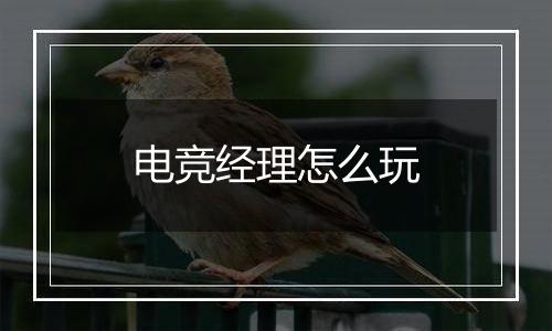 电竞经理怎么玩