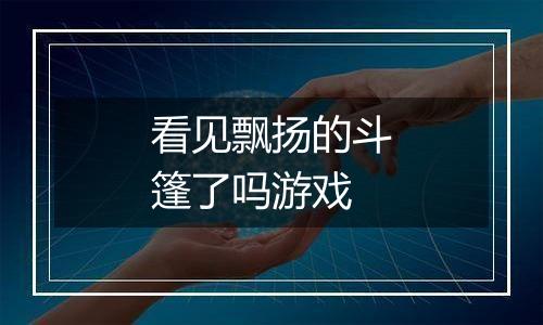 看见飘扬的斗篷了吗游戏