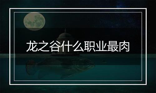 龙之谷什么职业最肉
