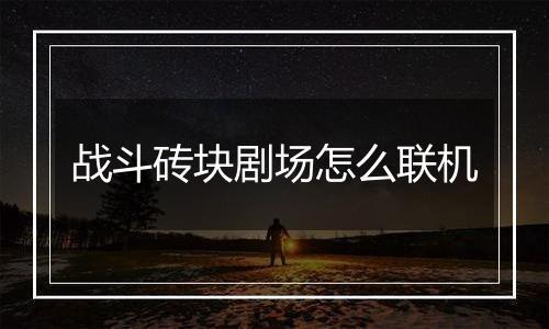 战斗砖块剧场怎么联机
