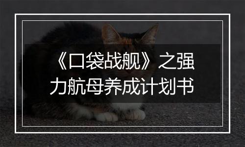 《口袋战舰》之强力航母养成计划书