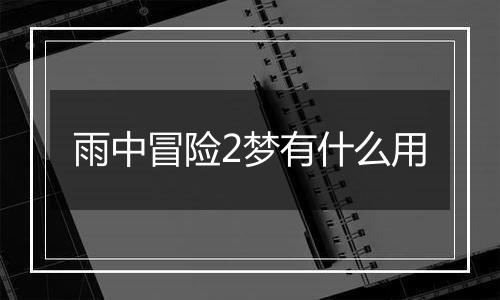 雨中冒险2梦有什么用