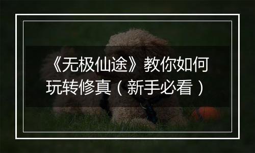 《无极仙途》教你如何玩转修真（新手必看）