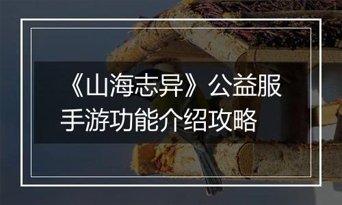 《山海志异》公益服手游功能介绍攻略