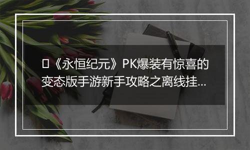 ﻿《永恒纪元》PK爆装有惊喜的变态版手游新手攻略之离线挂机介绍！