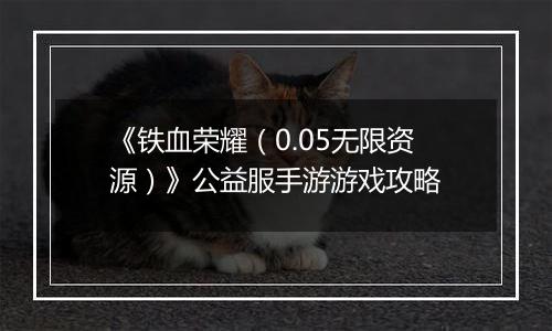 《铁血荣耀（0.05无限资源）》公益服手游游戏攻略