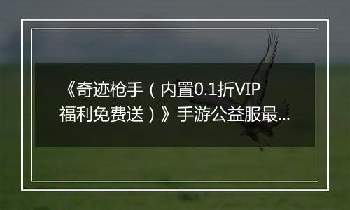 《奇迹枪手（内置0.1折VIP福利免费送）》手游公益服最强职业推荐