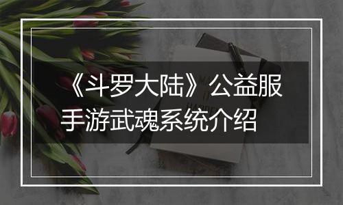 《斗罗大陆》公益服手游武魂系统介绍